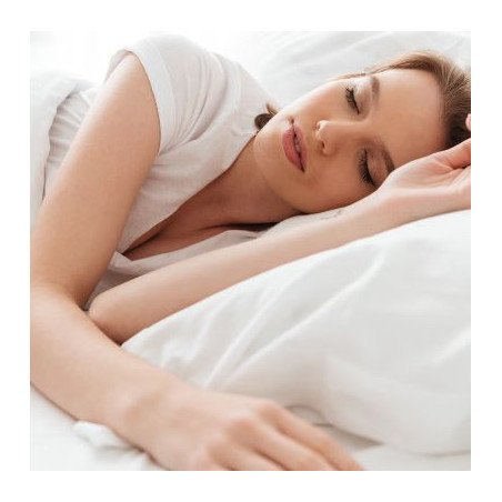 Regeneration & Balance